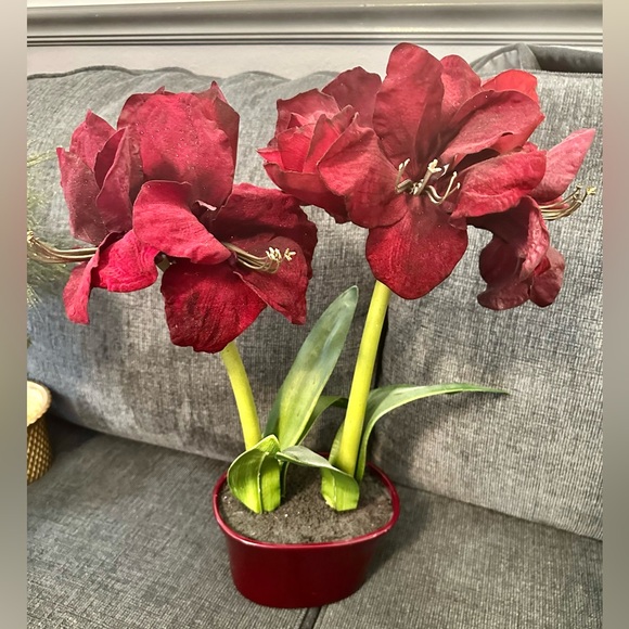 LOOK CLOSE! Christmas bundle last year. Dillards and macys stores. Used 1x - Picture 7 of 9